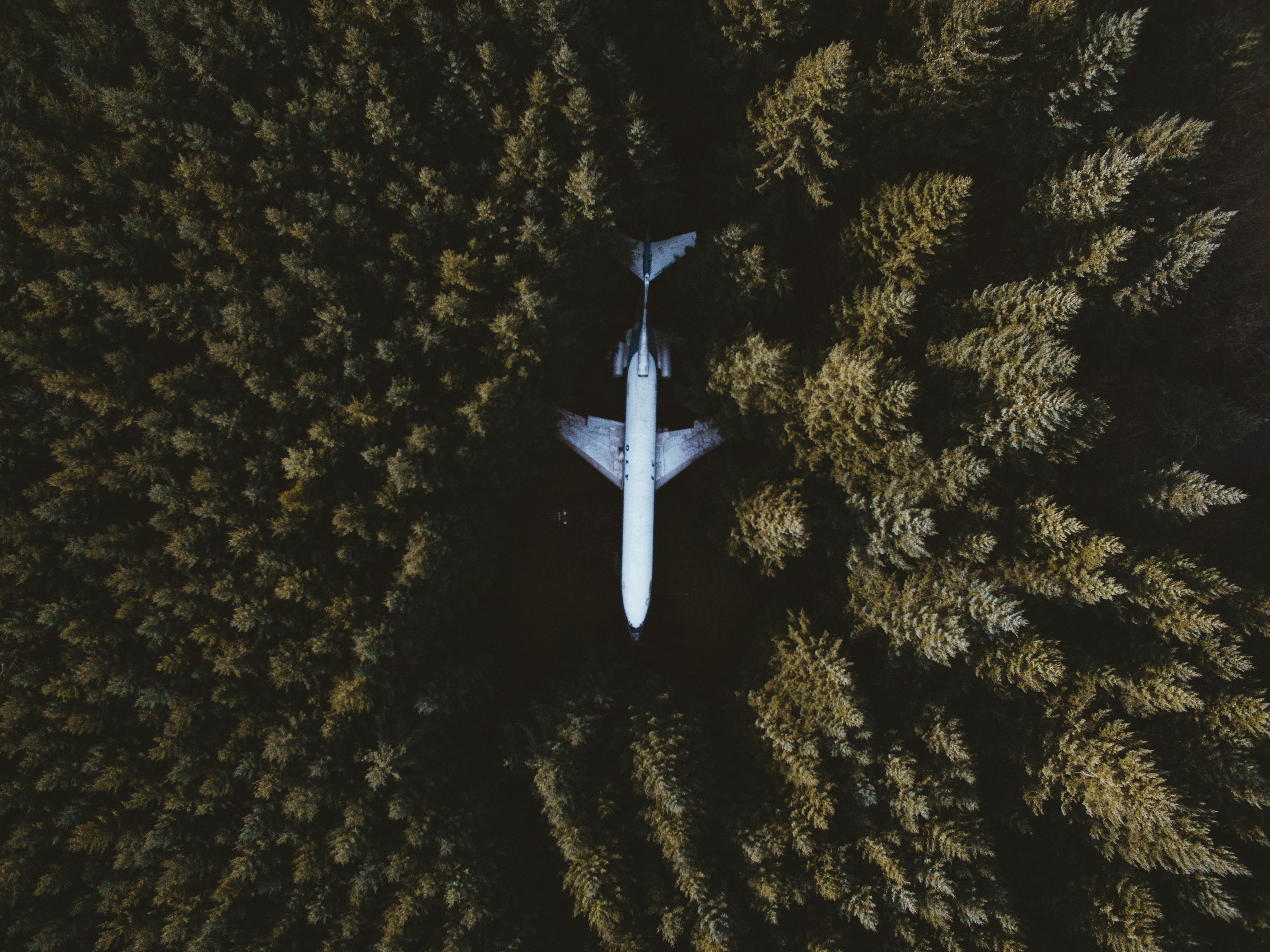 Embrace the Sky: The Exhilarating Ascent of Drone Photography Services