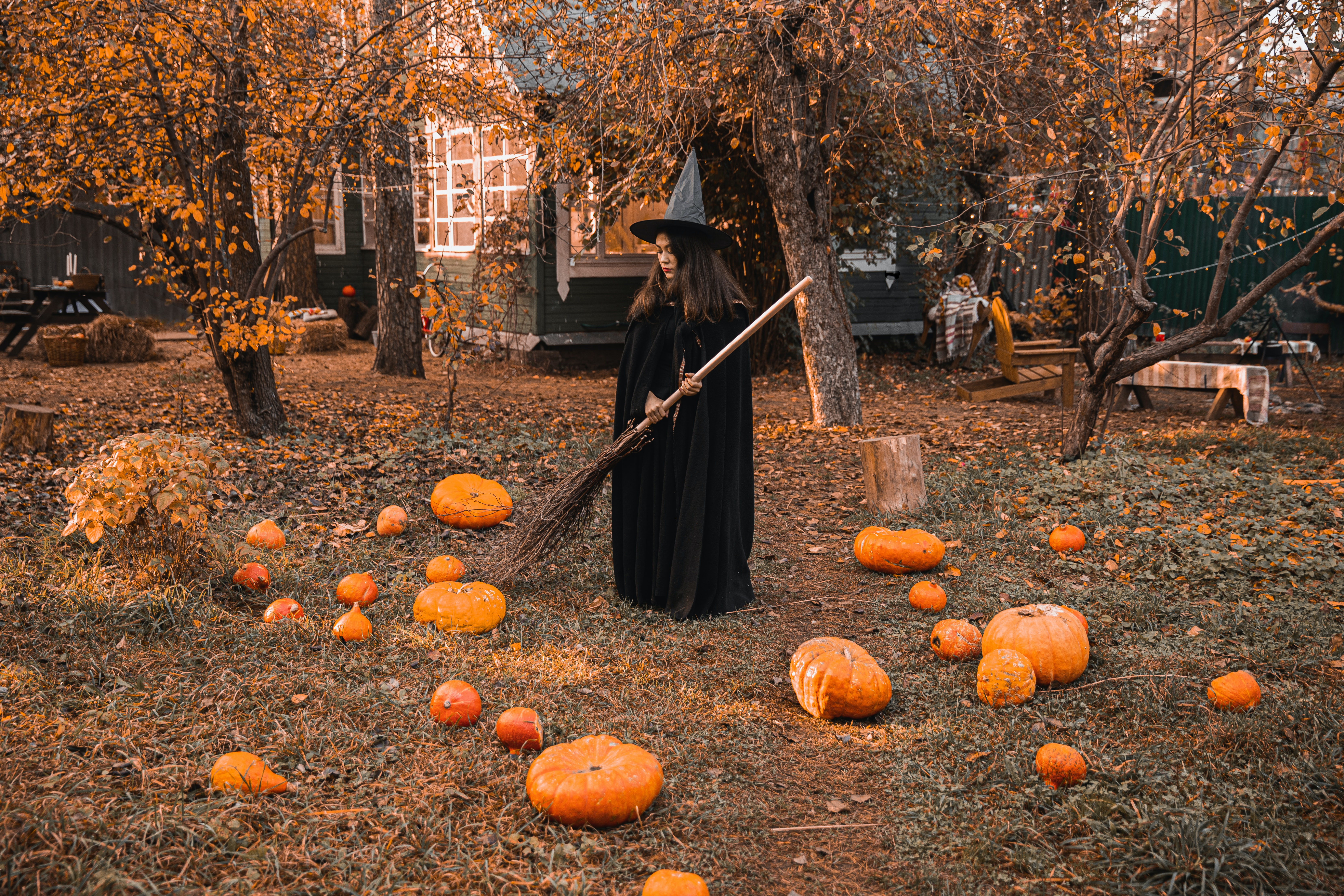 Halloween Scene with witch and pumpkins